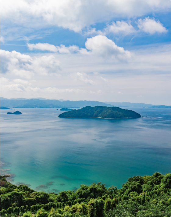 佐田岬半島風景2