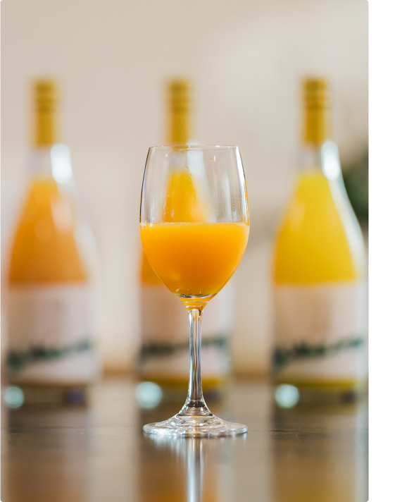 佐田岬半島風景5